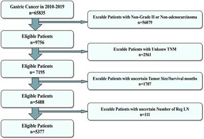 Machine learning to predict distant metastasis and prognostic analysis of moderately differentiated gastric adenocarcinoma patients: a novel focus on lymph node indicators
